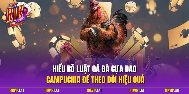 Hiểu rõ luật gà đá cựa dao Campuchia để theo dõi hiệu quả
