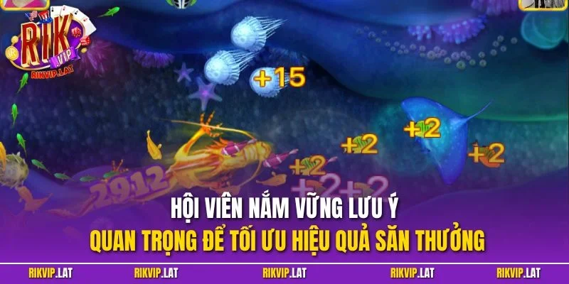 Hội viên nắm vững lưu ý quan trọng để tối ưu hiệu quả săn thưởng