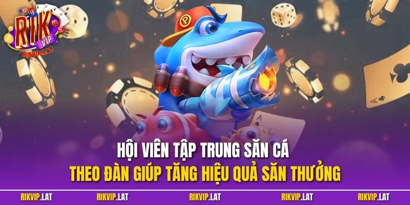 Hội viên tập trung săn cá theo đàn giúp tăng hiệu quả săn thưởng