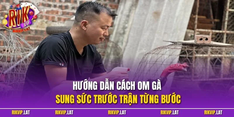 Hướng dẫn cách om gà sung sức trước trận từng bước