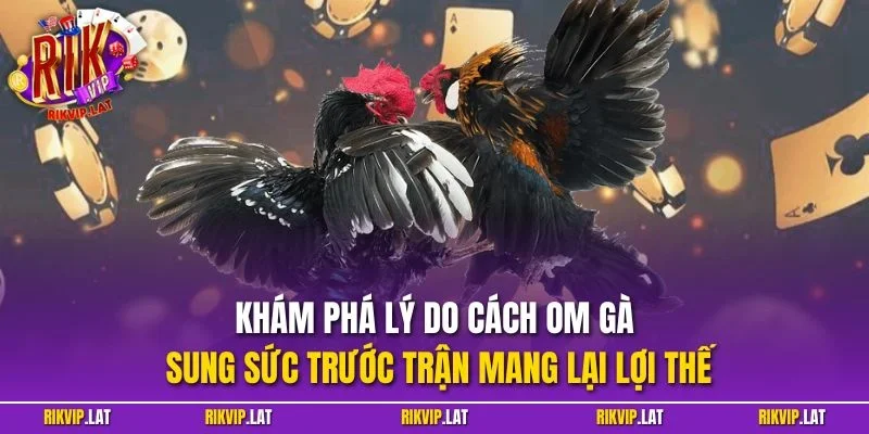 Khám phá lý do cách om gà sung sức trước trận mang lại lợi thế