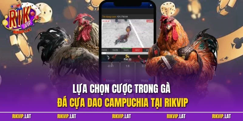 Lựa chọn cược trong gà đá cựa dao Campuchia tại RIKVIP