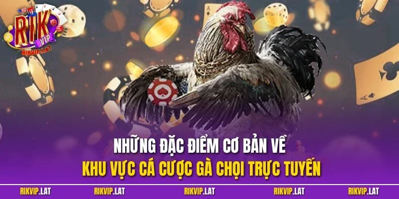 Những đặc điểm cơ bản về khu vực cá cược gà chọi trực tuyến