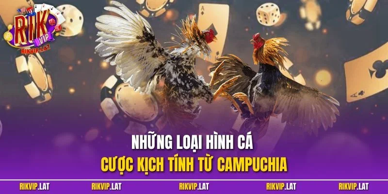 Những loại hình cá cược kịch tính từ Campuchia